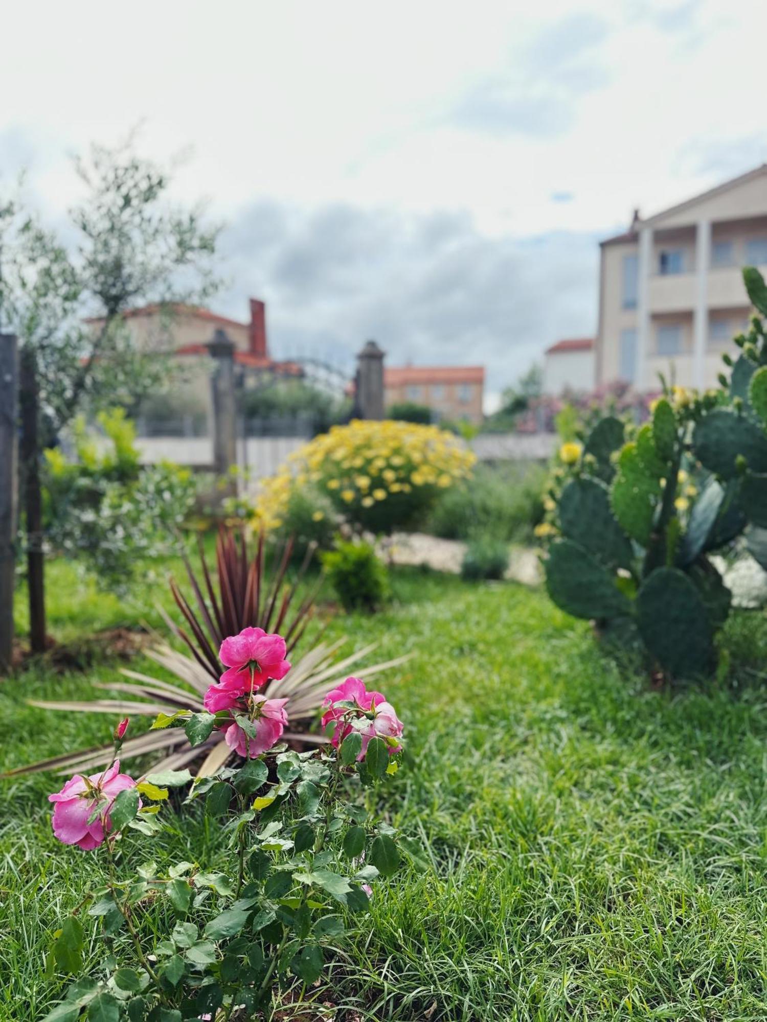 מדולין Apartments Vukalovic 2 מראה חיצוני תמונה